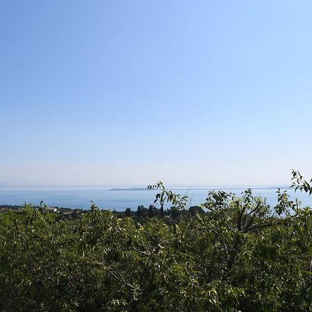 Alice'S Nest-Lake View House Padenghe sul Garda Zewnętrze zdjęcie