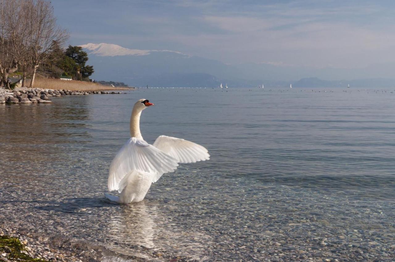 Alice'S Nest-Lake View House Padenghe sul Garda Zewnętrze zdjęcie